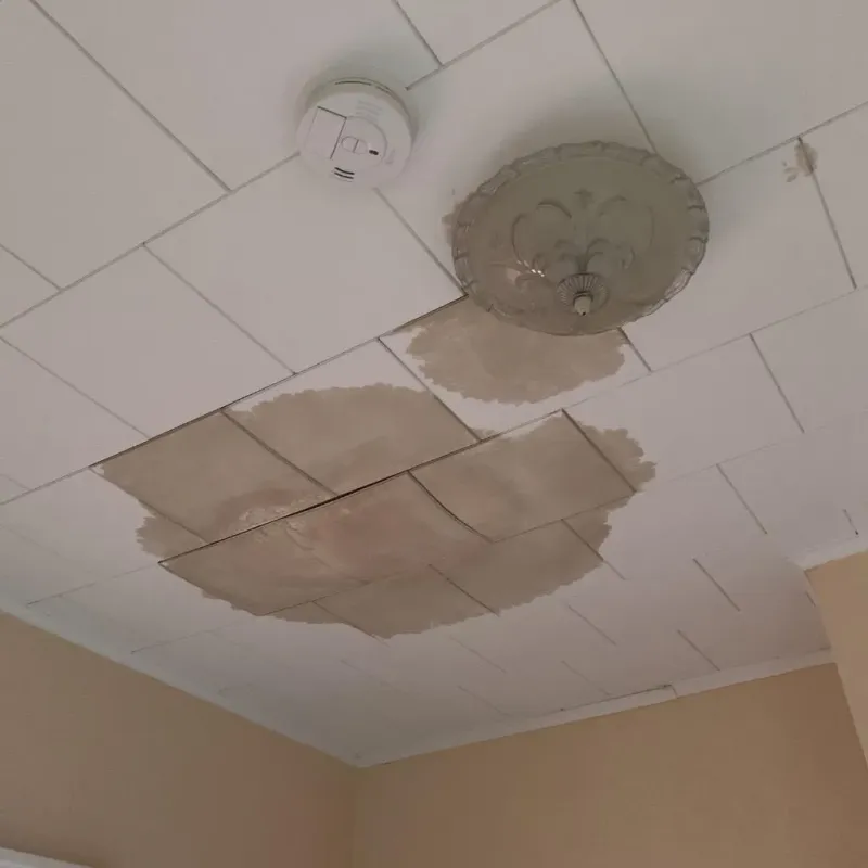 Ceiling Water Damage Repair in Fentress County, TN