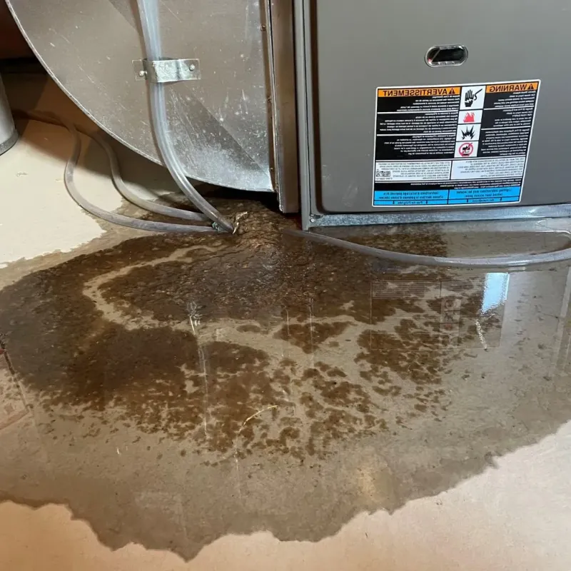 Pipe Burst and Leak Restoration in Fentress County, TN