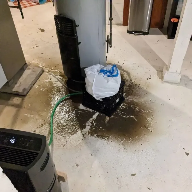 Sewage Backup Cleanup Service in Fentress County, TN